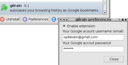 The gBrain preferences