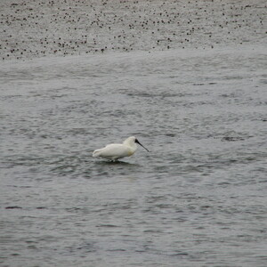 img_1214.jpg