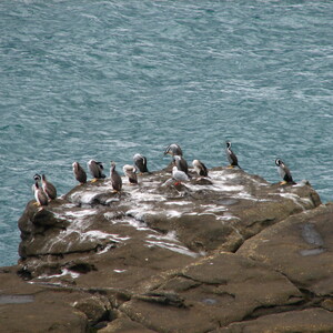 img_1287.jpg