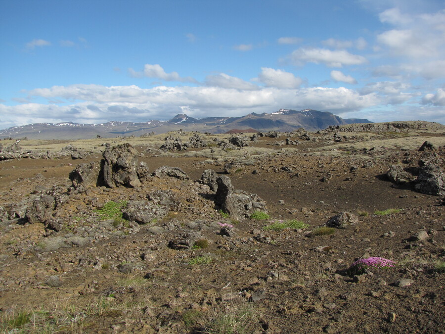 Lavafields of Hagahraun