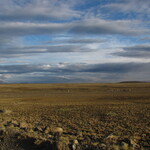 img_0804.jpg