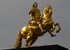 The "Golden Rider" The "Golden Rider"