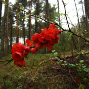 img_4429.jpg