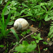 img_4449.jpg