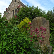 img_4974.jpg