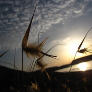 20110514-074011-canon.jpg