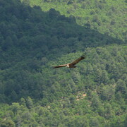 20110520-133424-canon.jpg