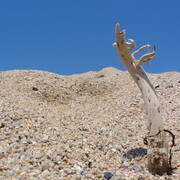 20110526-123736-sony.jpg