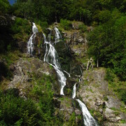 img_0637.jpg