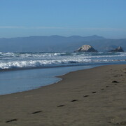 img_1339.jpg