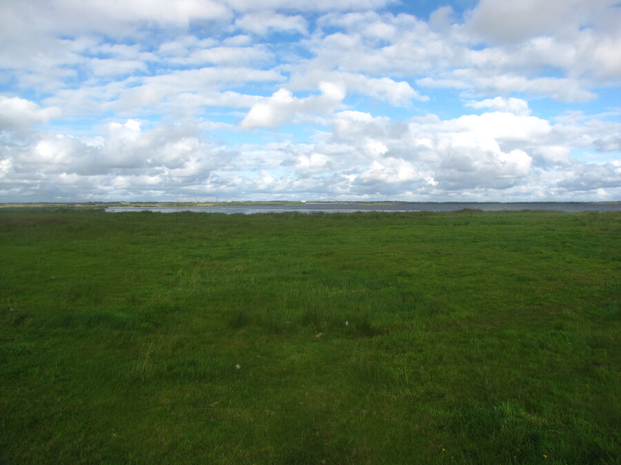 Meadows