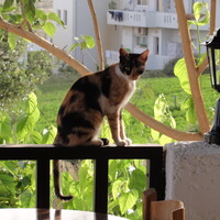 20130520-064200-hx5.jpg