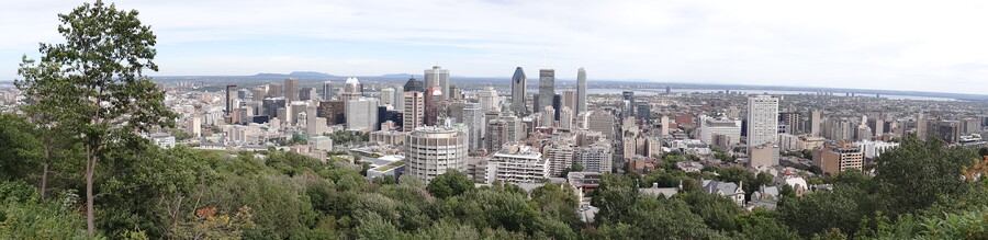 Montreal Panorama