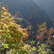 dsc03205.jpg