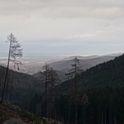 dsc03506.jpg