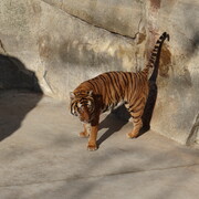 dsc03756.jpg