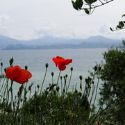 dsc04767.jpg