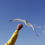 dsc09321_cr.jpg