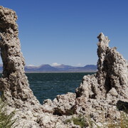 dsc00783.jpg