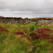 dsc02864.jpg