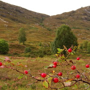 dsc03033.jpg