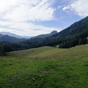img_20190817_105526.jpg