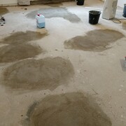 img_20200207_134445.jpg