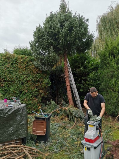 Cutting branches Cutting branches