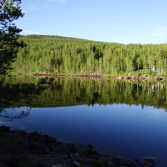 2025-06-30_19-22-32_dsc-hx200v.jpg
