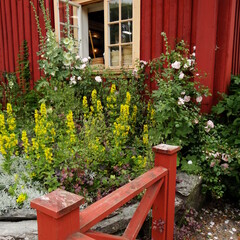 2025-07-04_10-11-26_dsc-hx200v.jpg