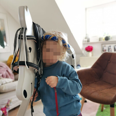 horse15.jpg